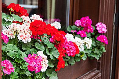 《第一后裔》将联动《尼尔》 有2B的战损版